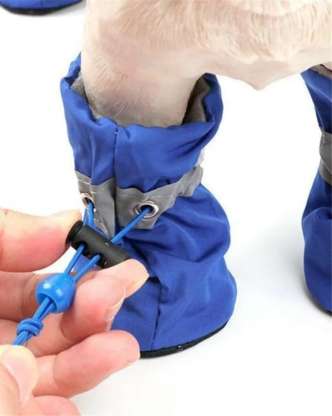 PawShield Waterproof Shoes