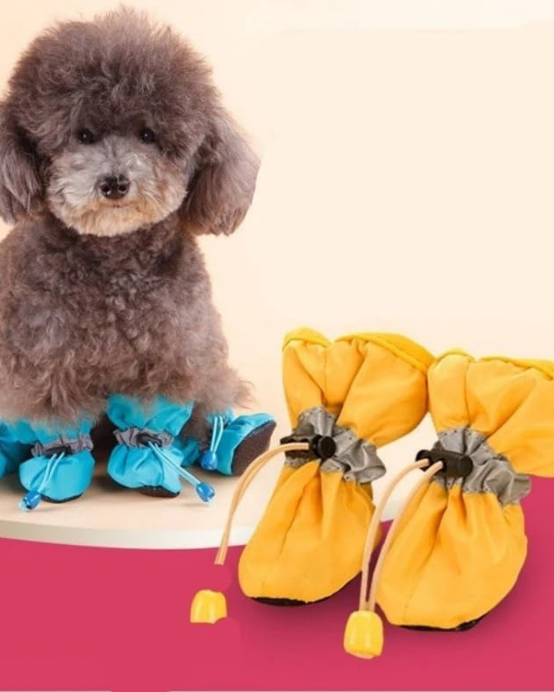 PawShield Waterproof Shoes