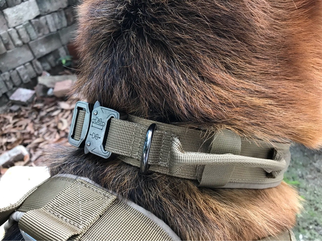 K9Duty Dog Collar