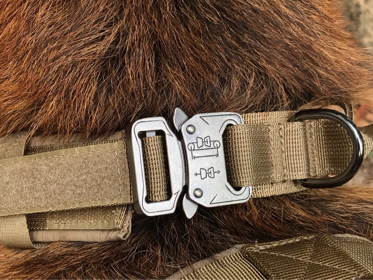 K9Duty Dog Collar