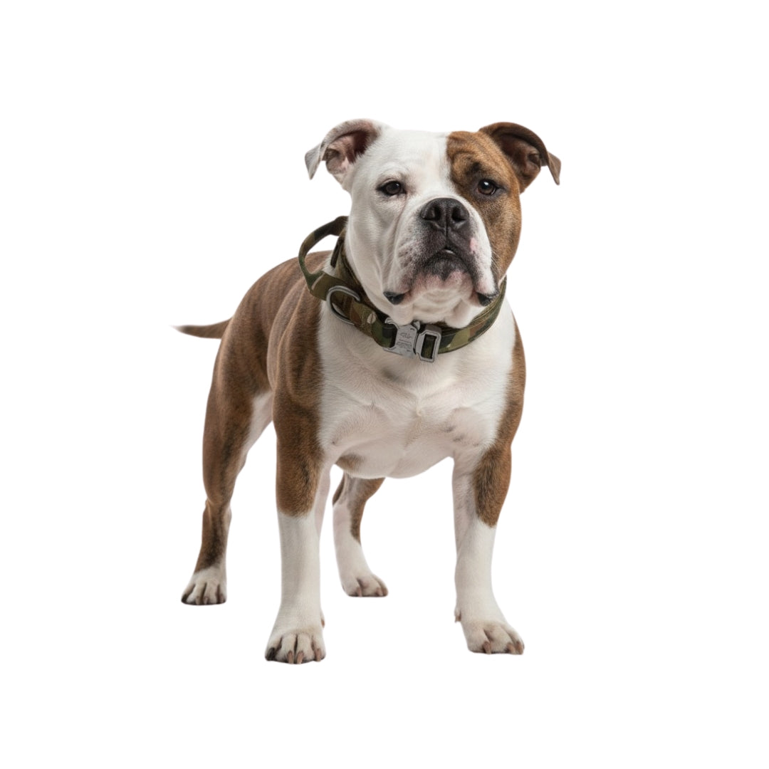 K9Duty Dog Collar