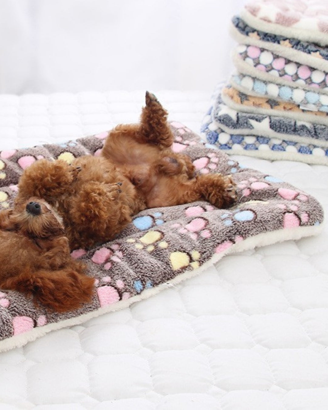 CozyPuff Pet Blanket