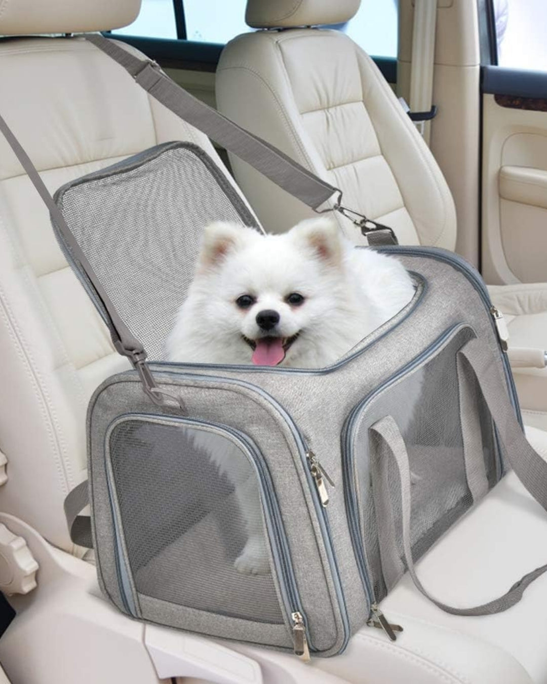 Drift Waterproof Pet Travel Bag