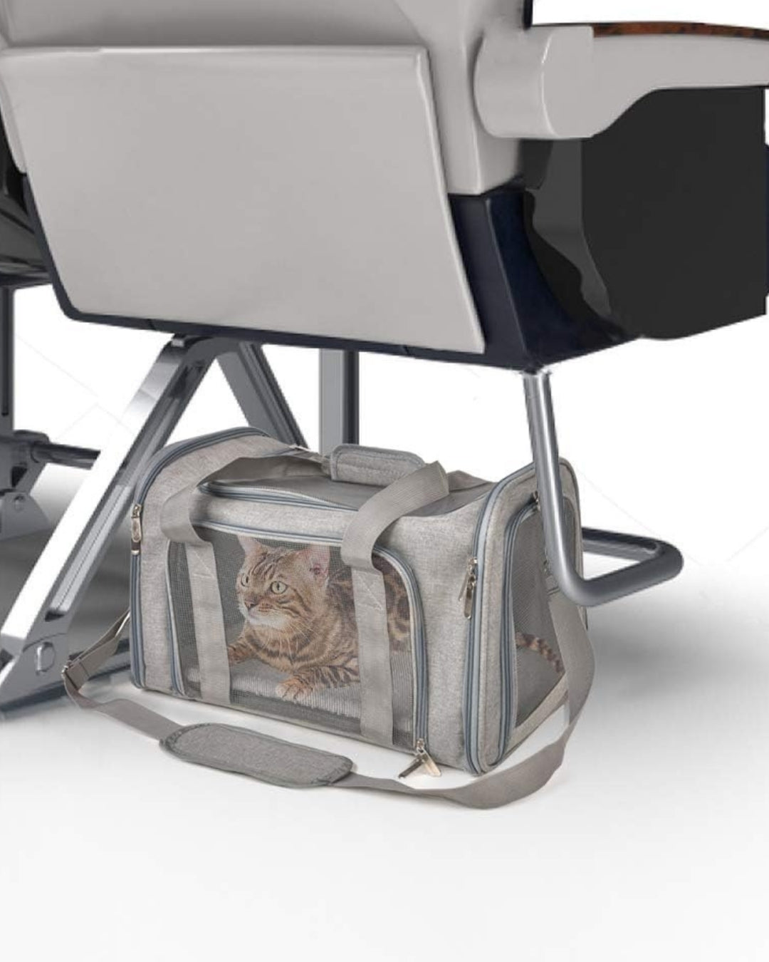 Drift Waterproof Pet Travel Bag