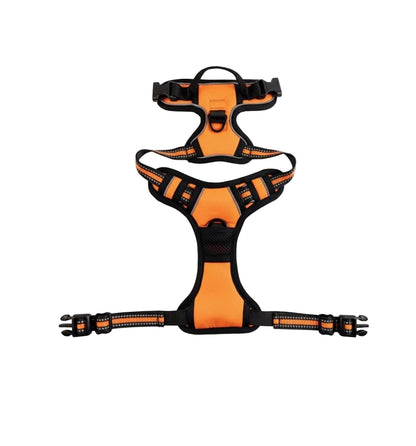 NightSecure Harness
