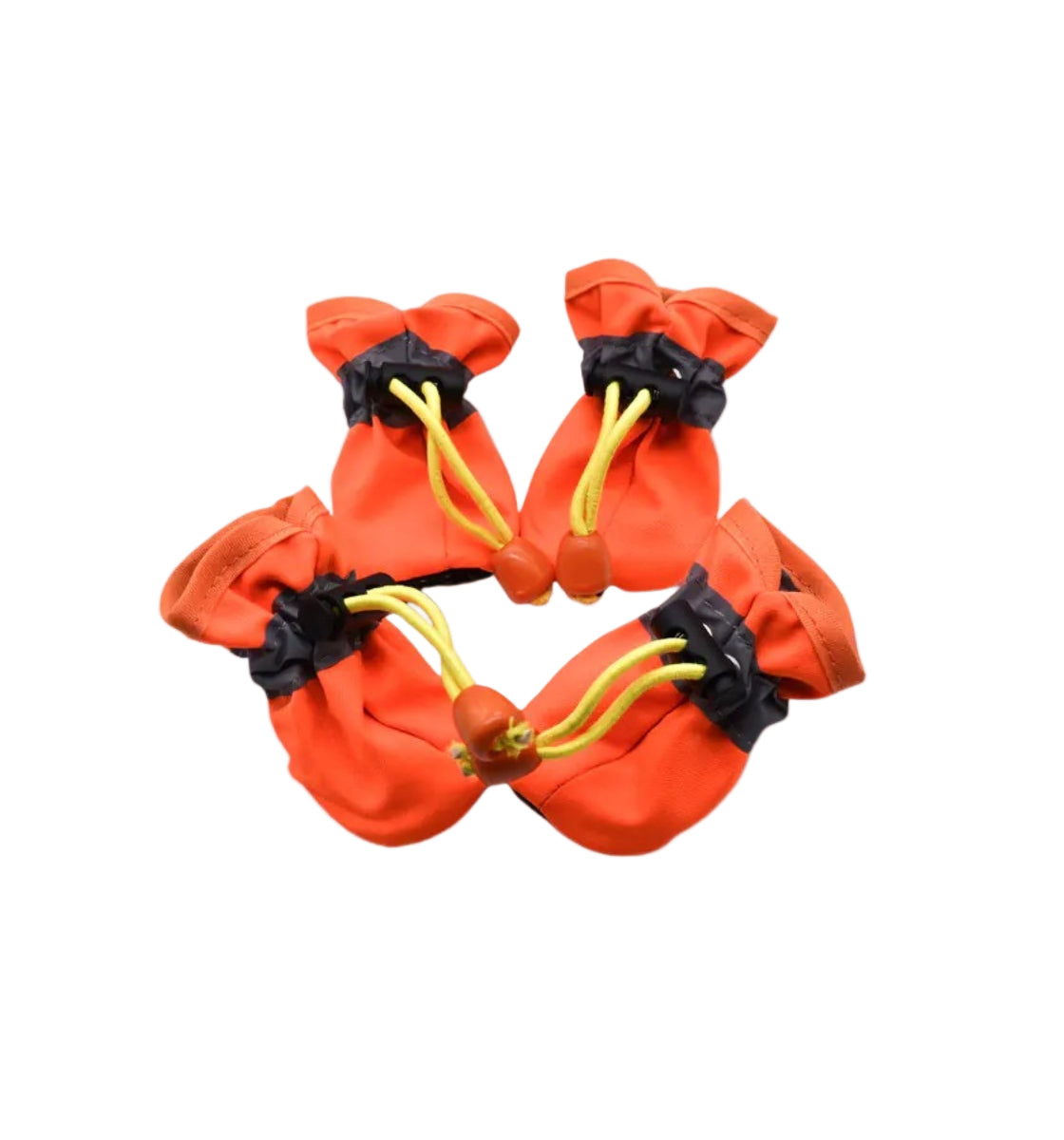 PawShield Waterproof Shoes