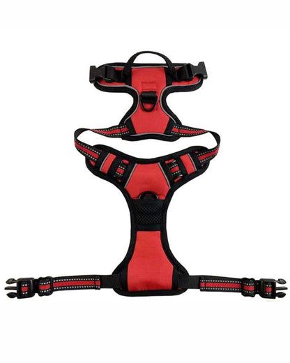 NightSecure Harness