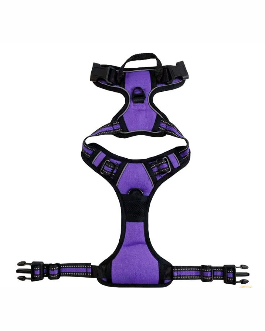 NightSecure Harness