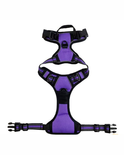 NightSecure Harness