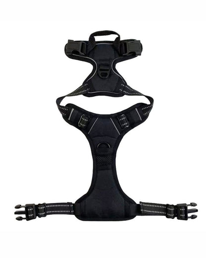 NightSecure Harness