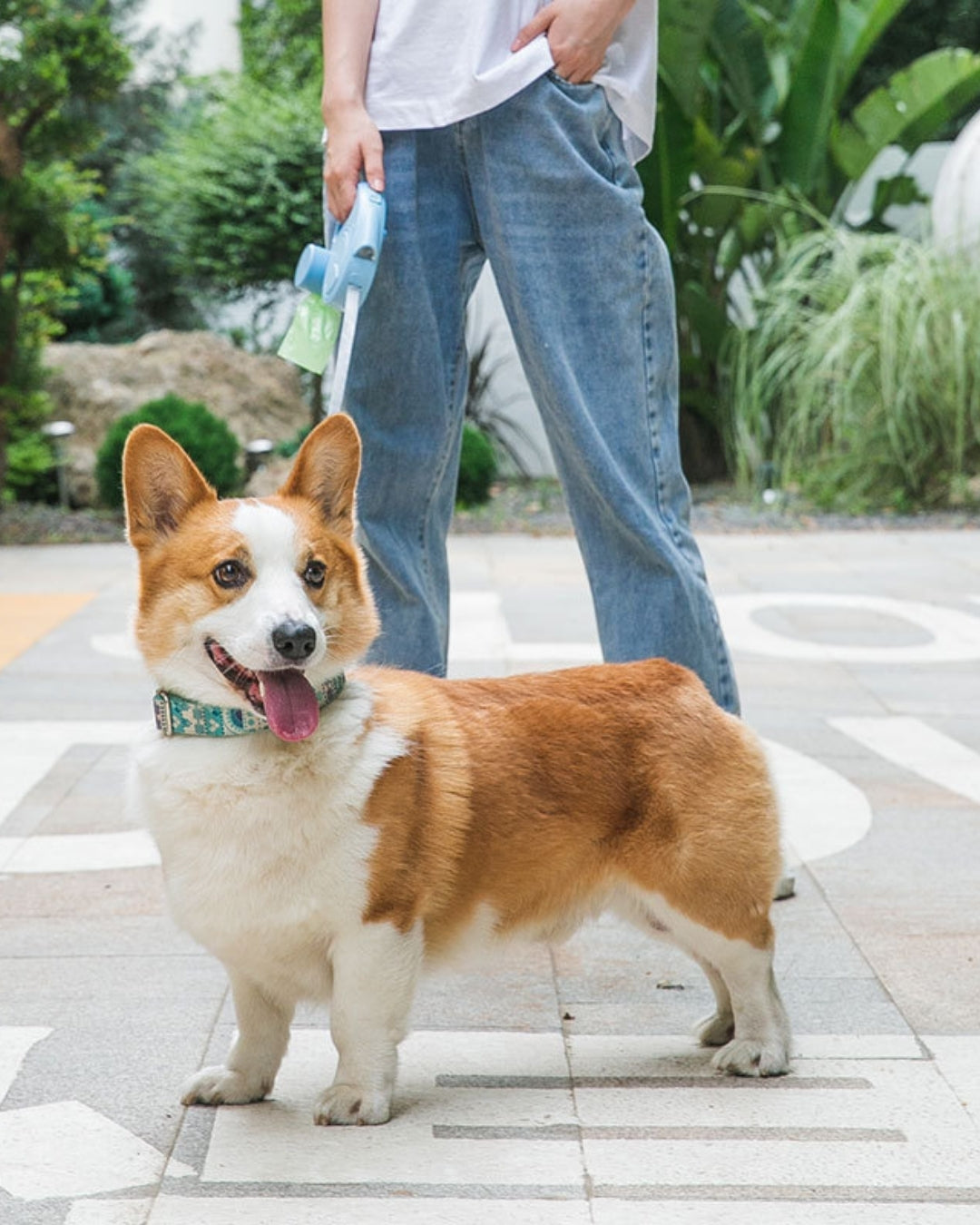 LightLine Multifunction Leash