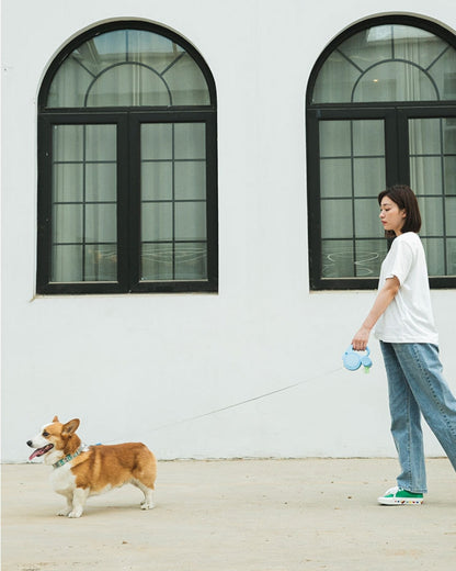 LightLine Multifunction Leash