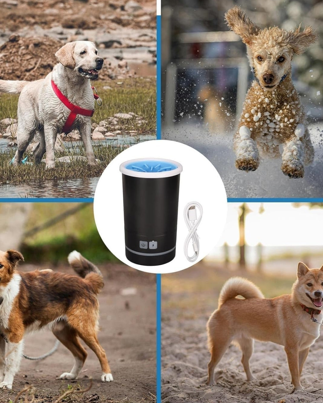 PawPulse Washer
