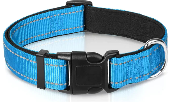 Luma Adjustable Dog Collar