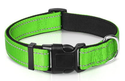 Luma Adjustable Dog Collar