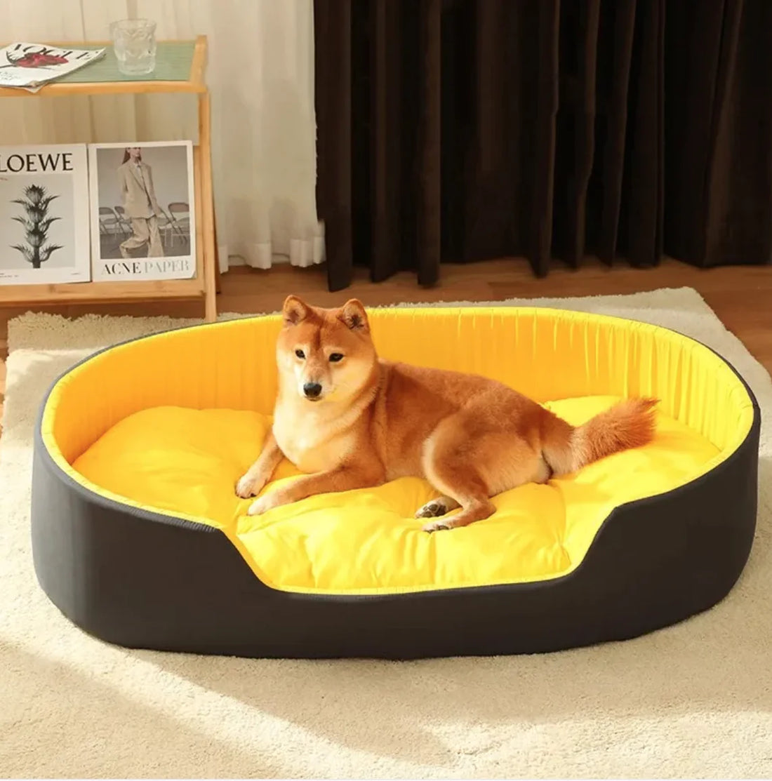 DreamNest Bed