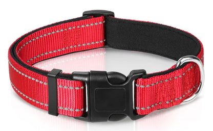 Luma Adjustable Dog Collar