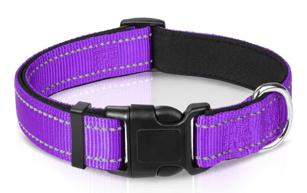 Luma Adjustable Dog Collar
