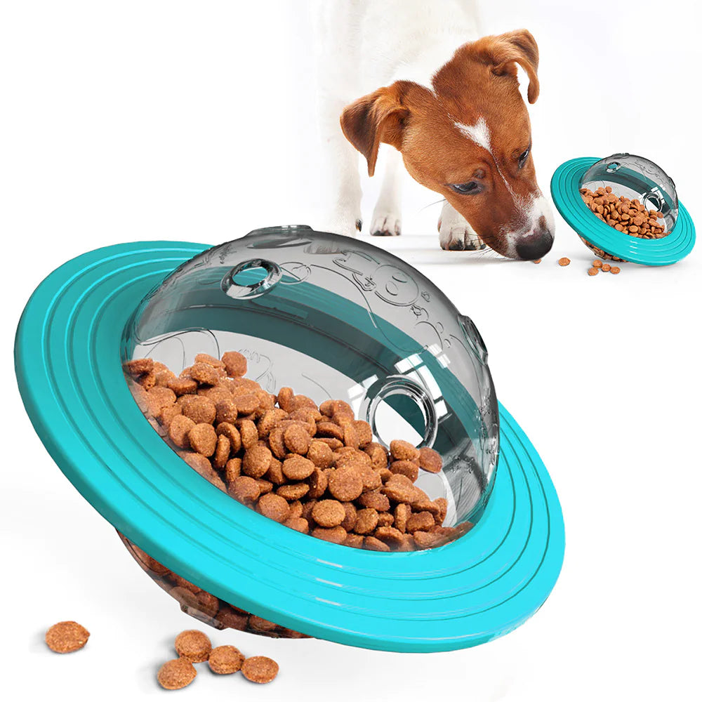 SnackTrack Orb
