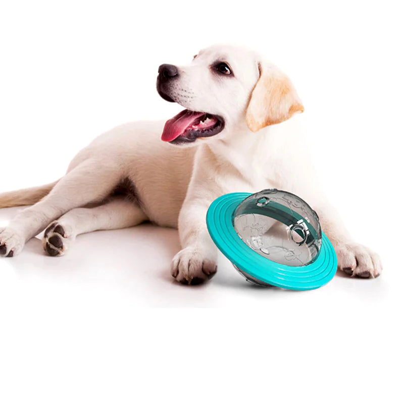 SnackTrack Orb