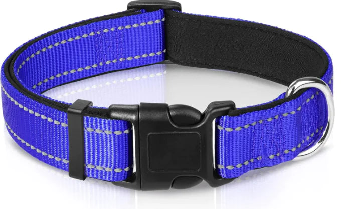 Luma Adjustable Dog Collar