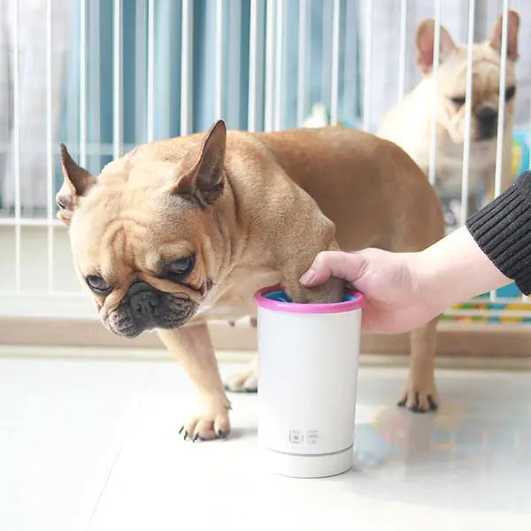 PawPulse Washer