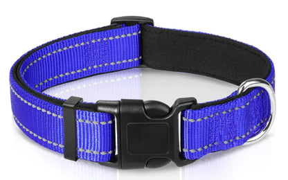 Luma Adjustable Dog Collar