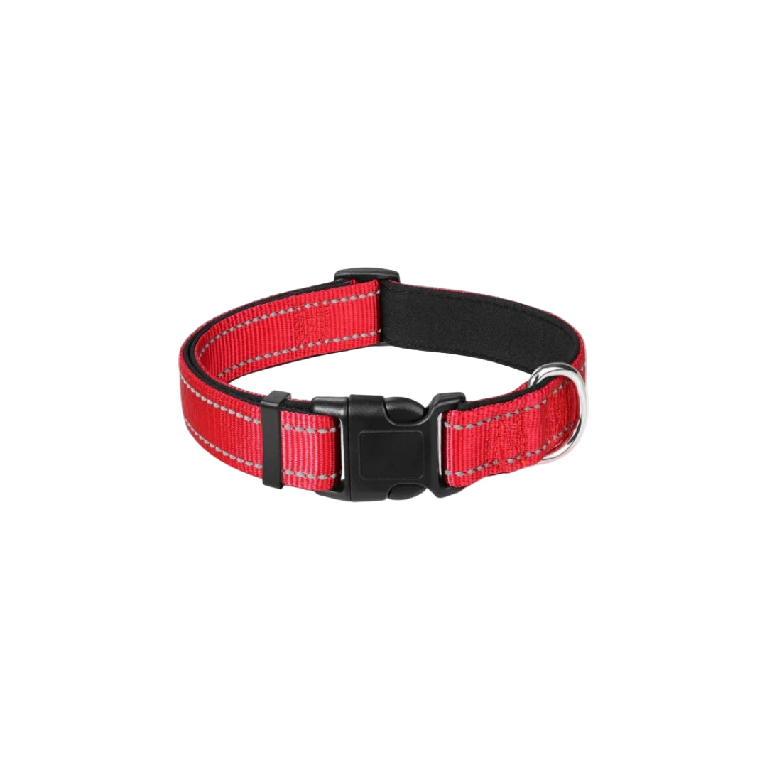 Luma Adjustable Dog Collar