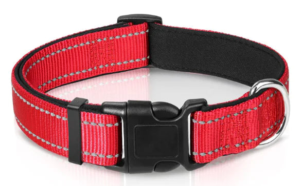 Luma Adjustable Dog Collar