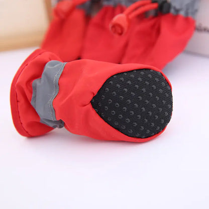 PawShield Waterproof Shoes
