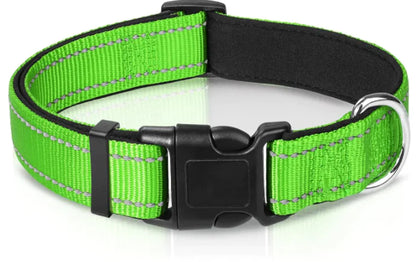 Luma Adjustable Dog Collar