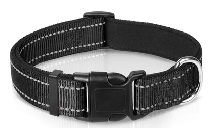 Luma Adjustable Dog Collar