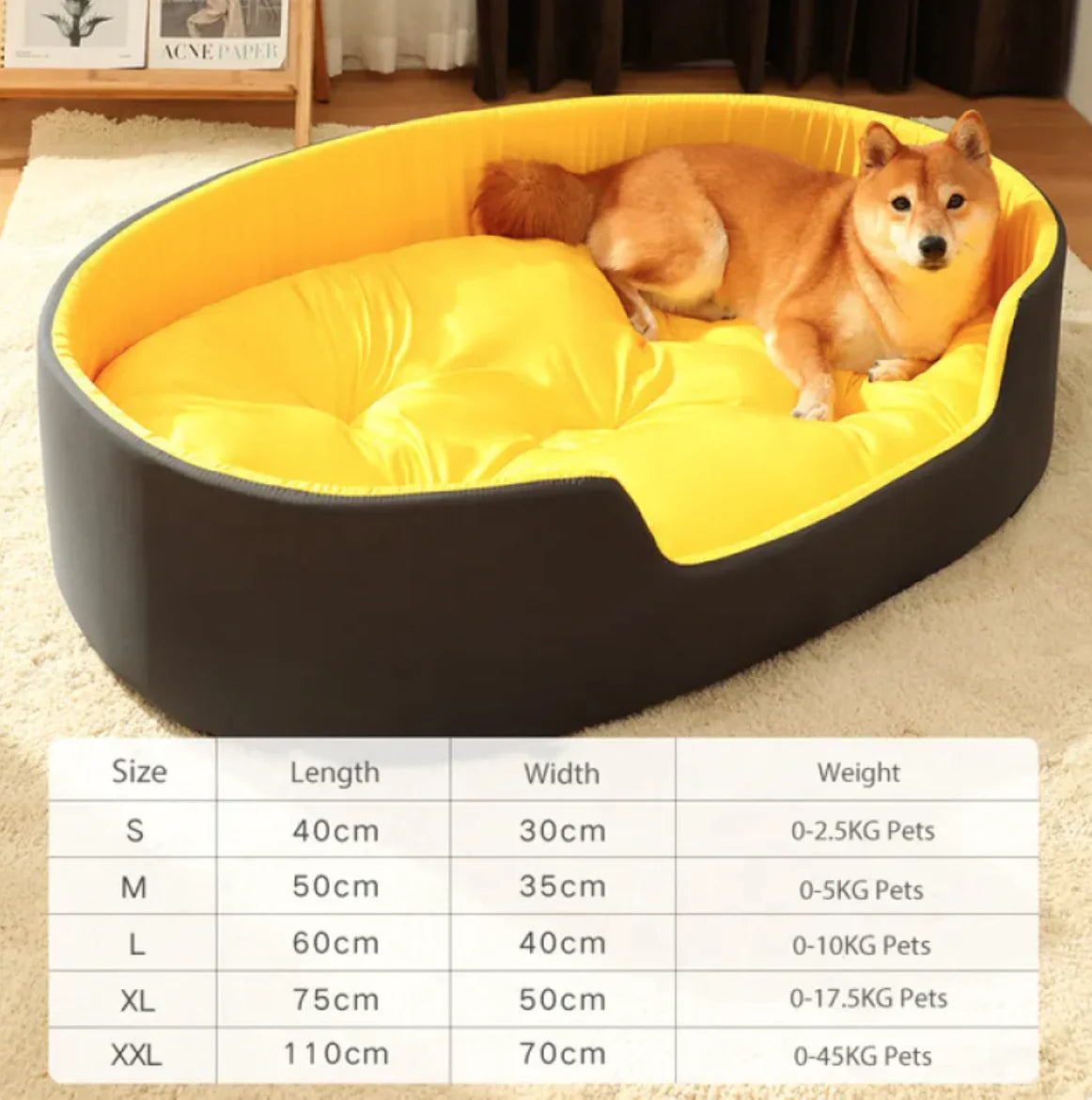 DreamNest Bed