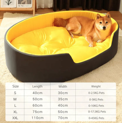 DreamNest Bed