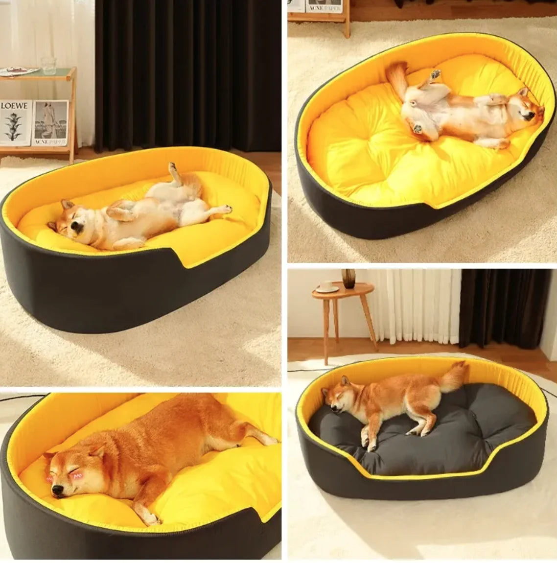 DreamNest Bed