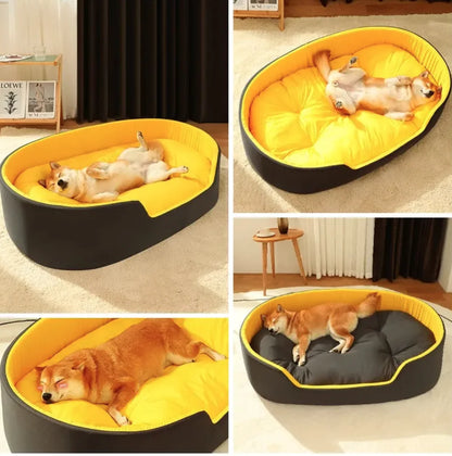 DreamNest Bed