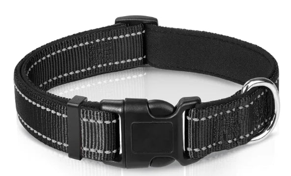 Luma Adjustable Dog Collar
