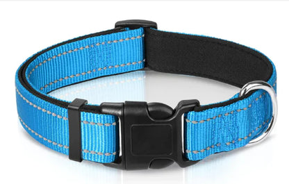 Luma Adjustable Dog Collar