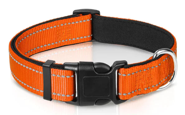 Luma Adjustable Dog Collar