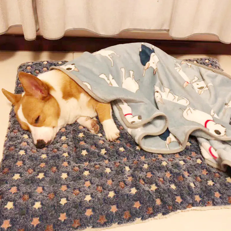 CozyPuff Pet Blanket
